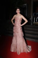 Anushka Sharma On Red Carpet Of Hello Hall Of Fame Awards on 29th March 2017